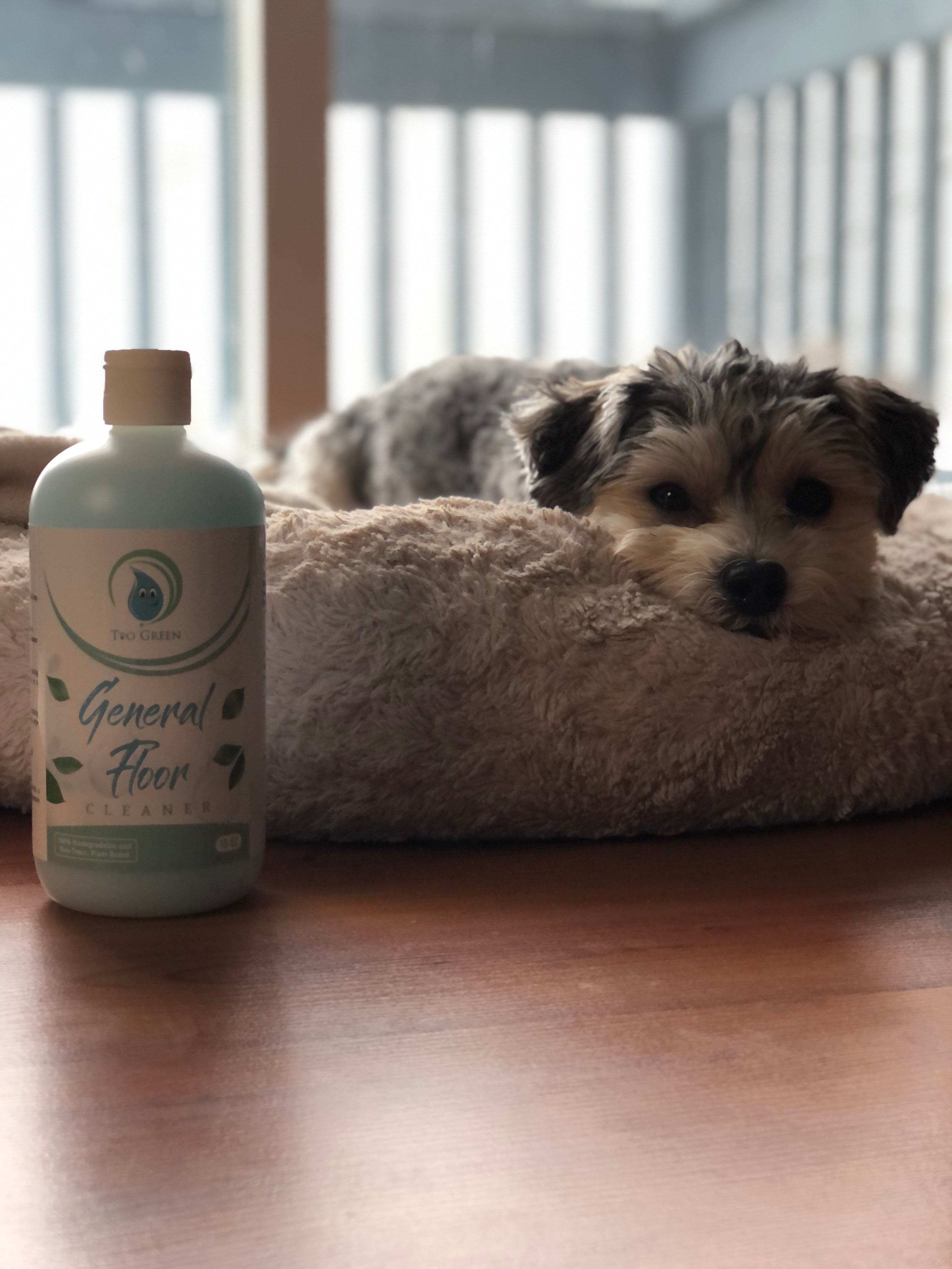 Plant based cleaning products that are kid and pet safe